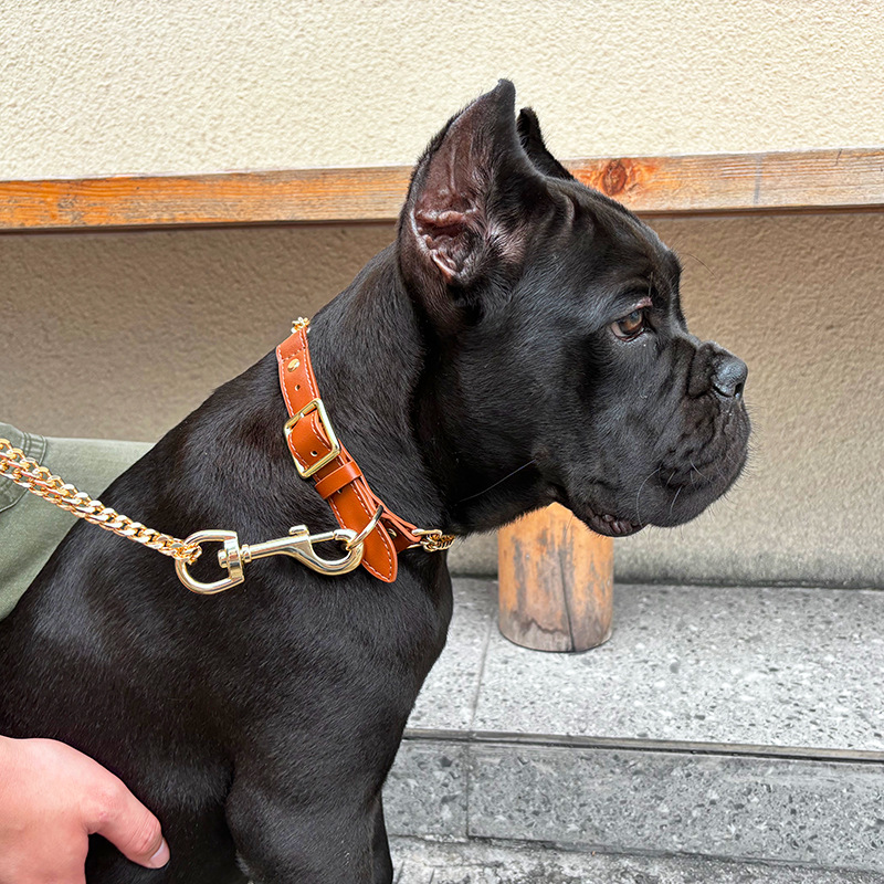 Loudik Wholesale Pet Collar Le - đánh giá và giá Leather Strap Quick Release